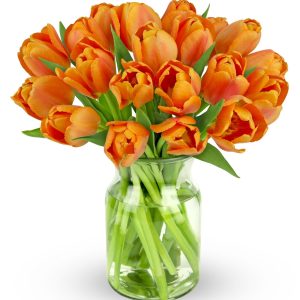 Orange Tulips